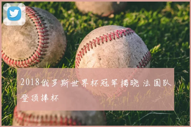 2018俄罗斯世界杯冠军揭晓 法国队登顶捧杯