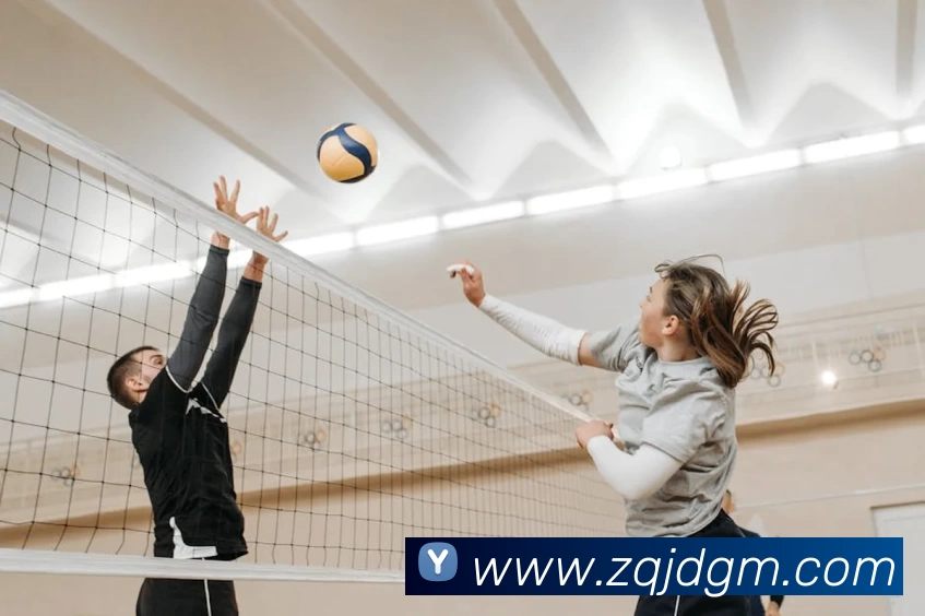 新爱体育官方网页版 - 新爱体育(中国)APP 封面图